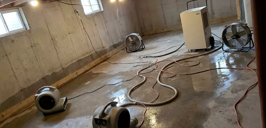 Professional Commercial Water Damage Repair Services in Sargent, GA