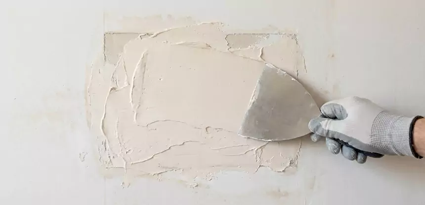 Professional Mold and Drywall Repair Services in Sargent, GA