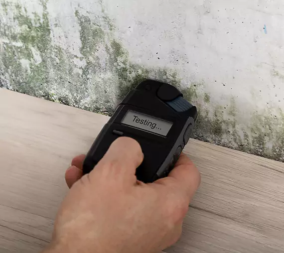 Mold Remediation Service Sargent